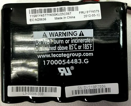Батарея IBM LSI TPL 13.5V 6.4F BBU09 SUPER CAPACITOR (49571-13)
